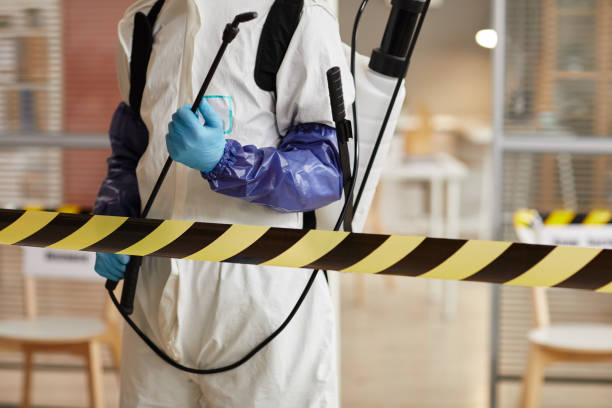 Professional Blood Cleanup technician working in Rockport, WA